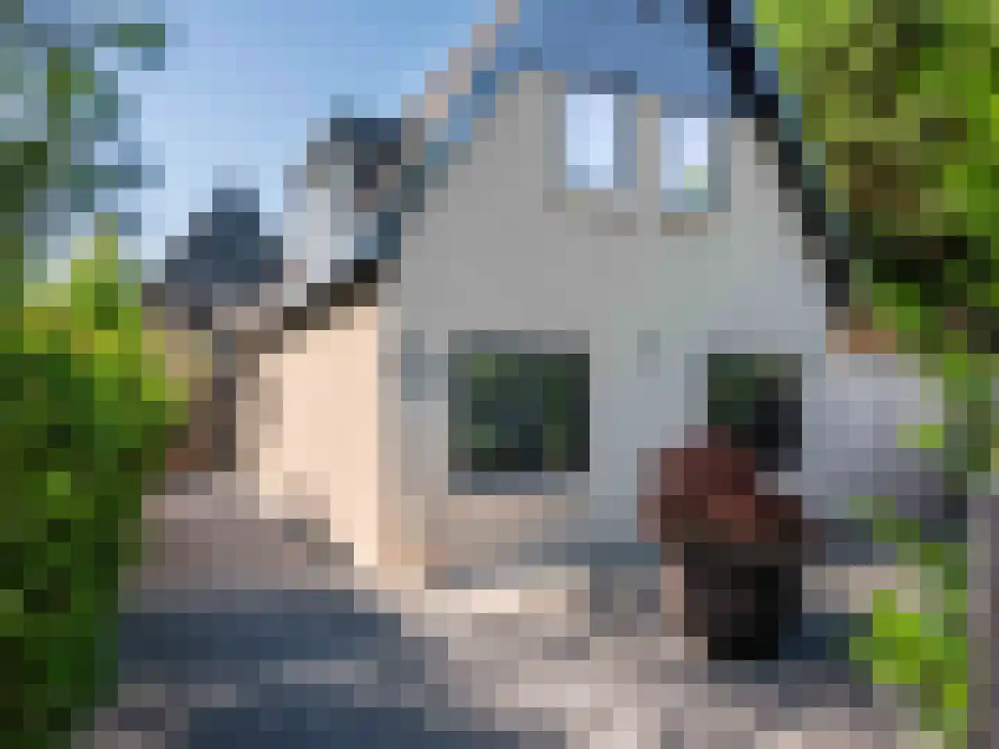 Doorntjes 38 Bergen (NH) thumbnail 71