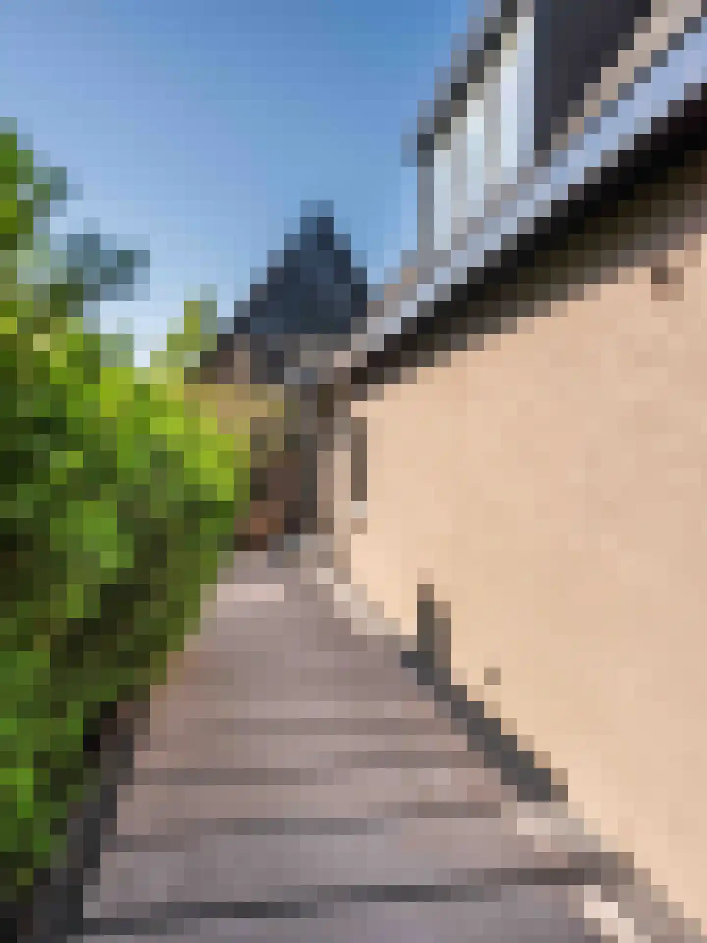 Doorntjes 38 Bergen (NH) thumbnail 72