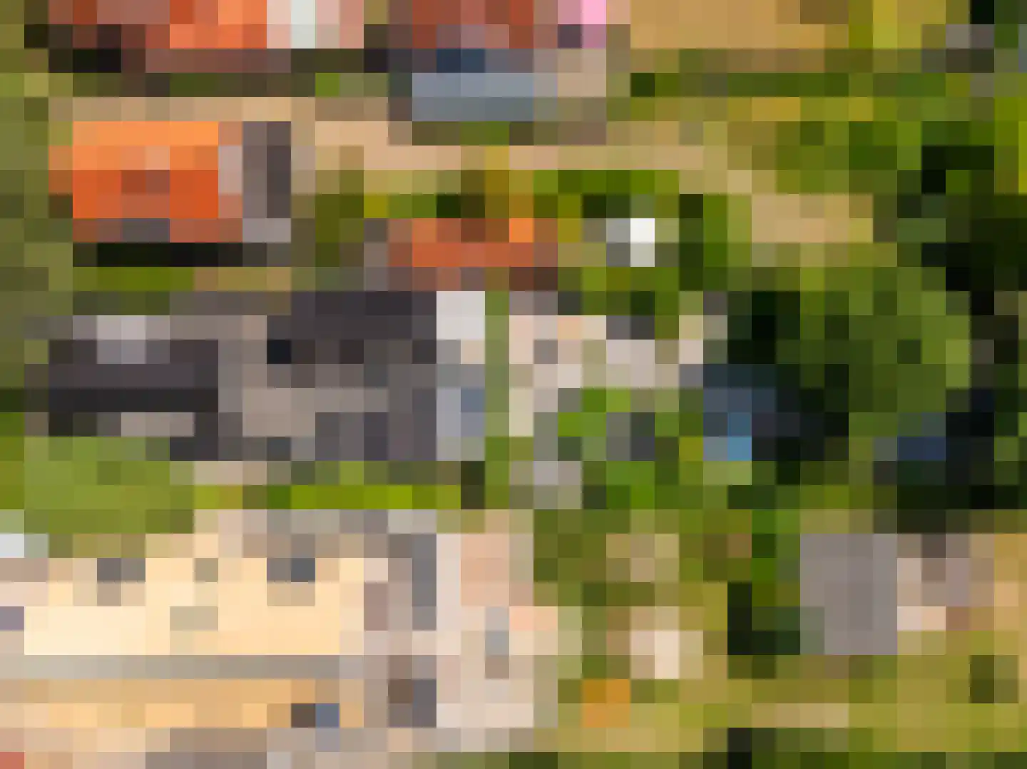 Doorntjes 38 Bergen (NH) thumbnail 76