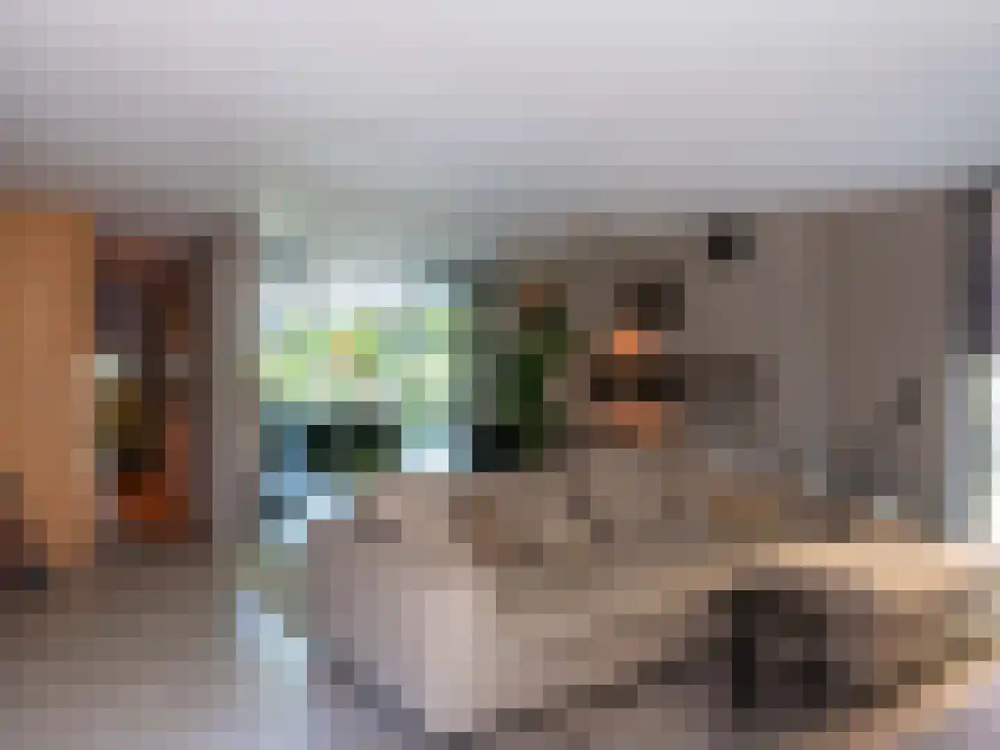 Doorntjes 38 Bergen (NH) thumbnail 9