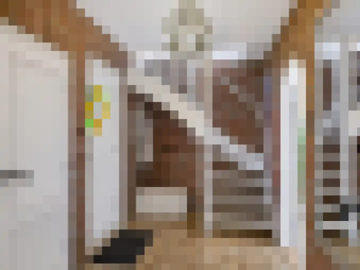 Doorntjes 44 Bergen (NH) thumbnail 11