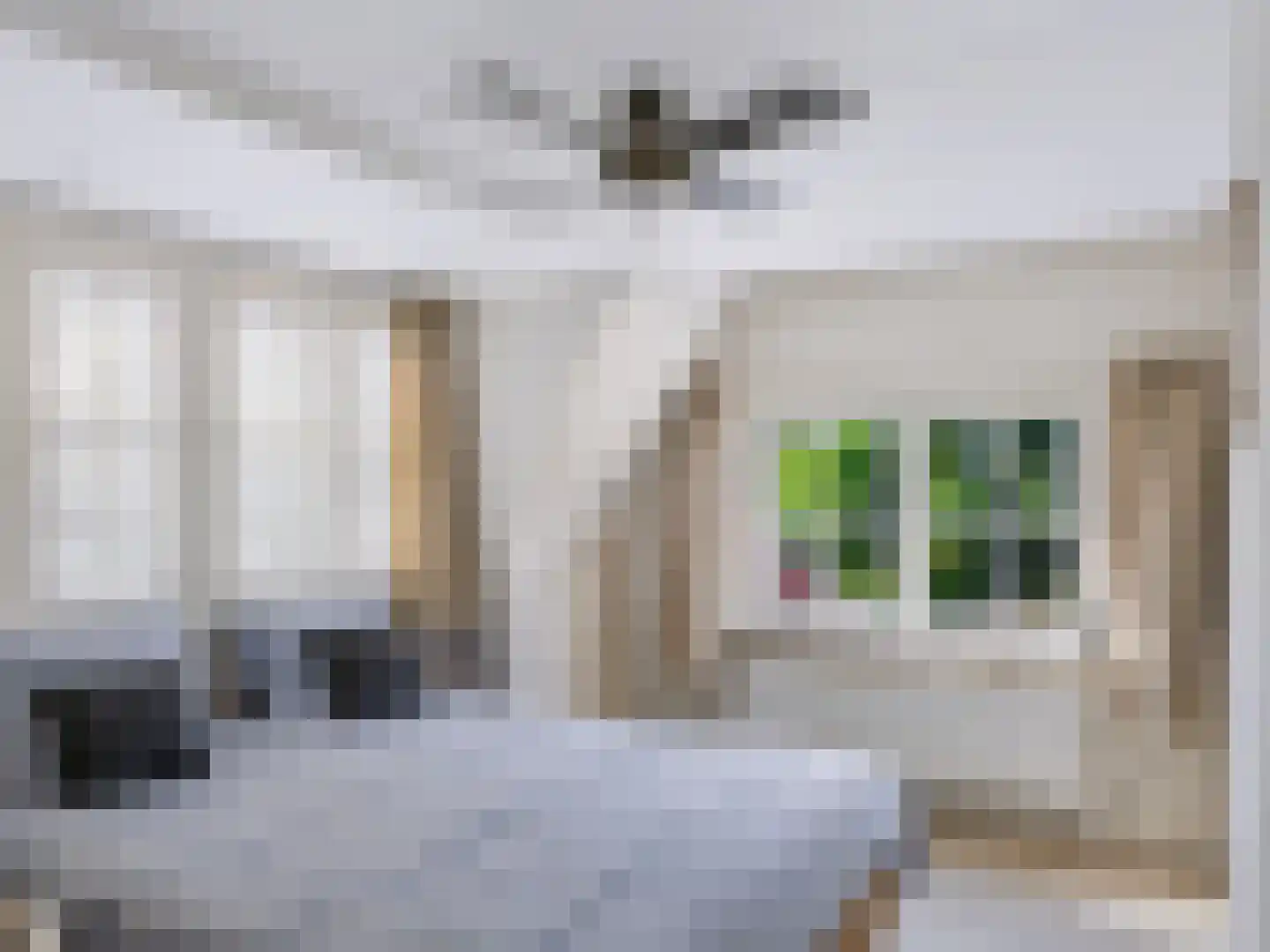 Doorntjes 44 Bergen (NH) thumbnail 12