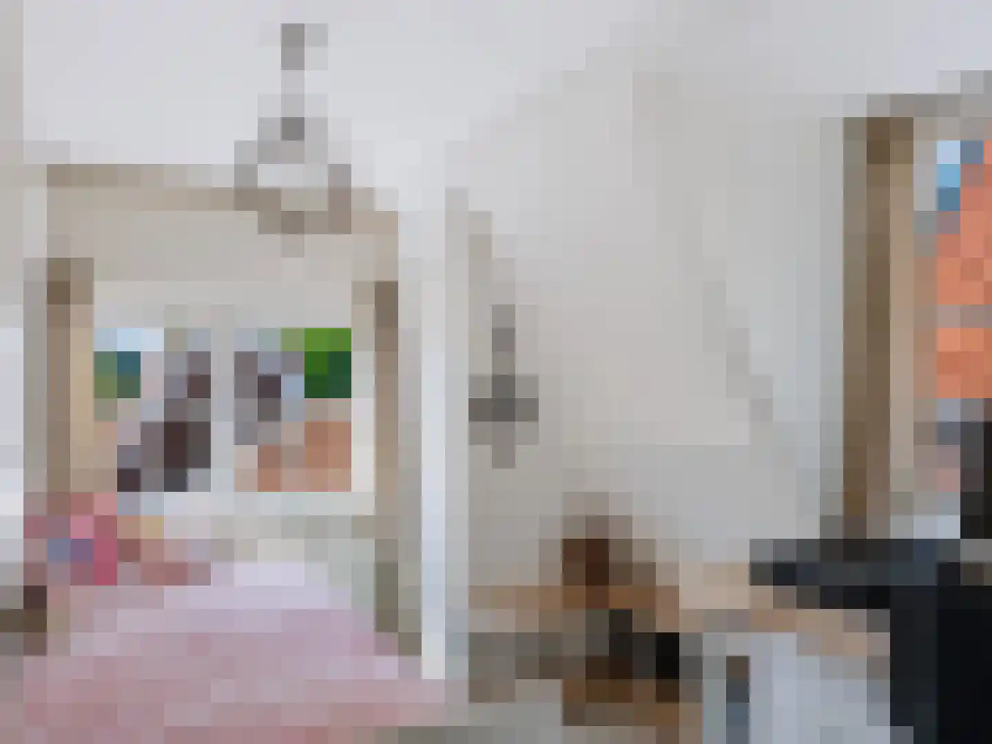 Doorntjes 44 Bergen (NH) thumbnail 13
