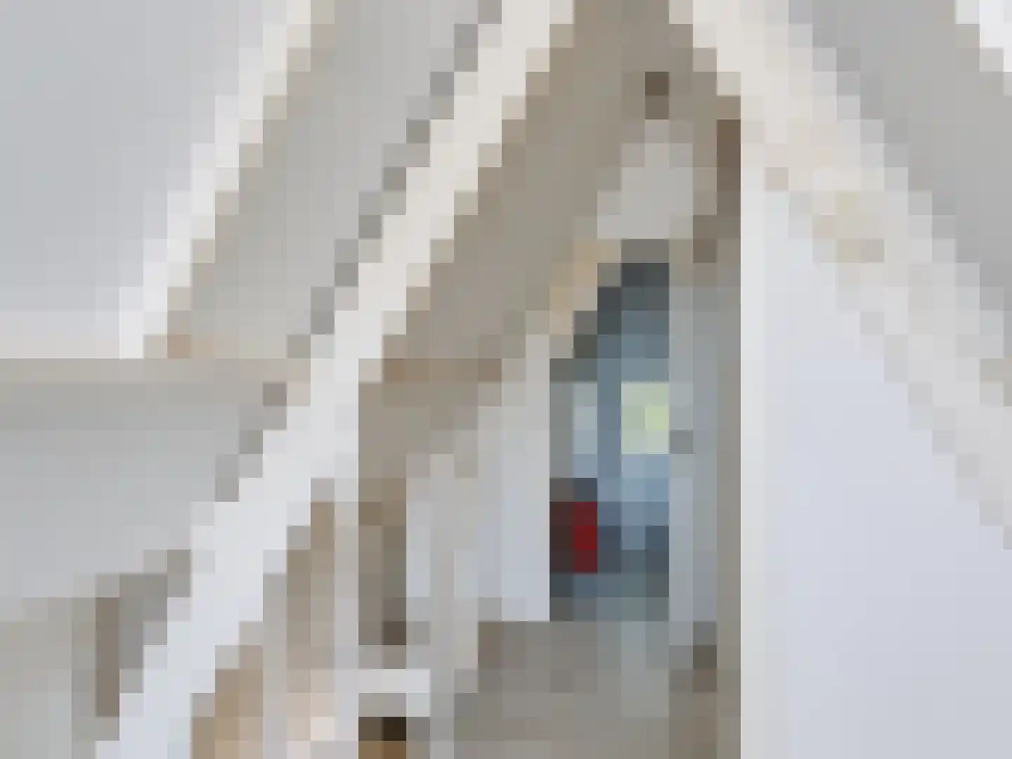 Doorntjes 44 Bergen (NH) thumbnail 20