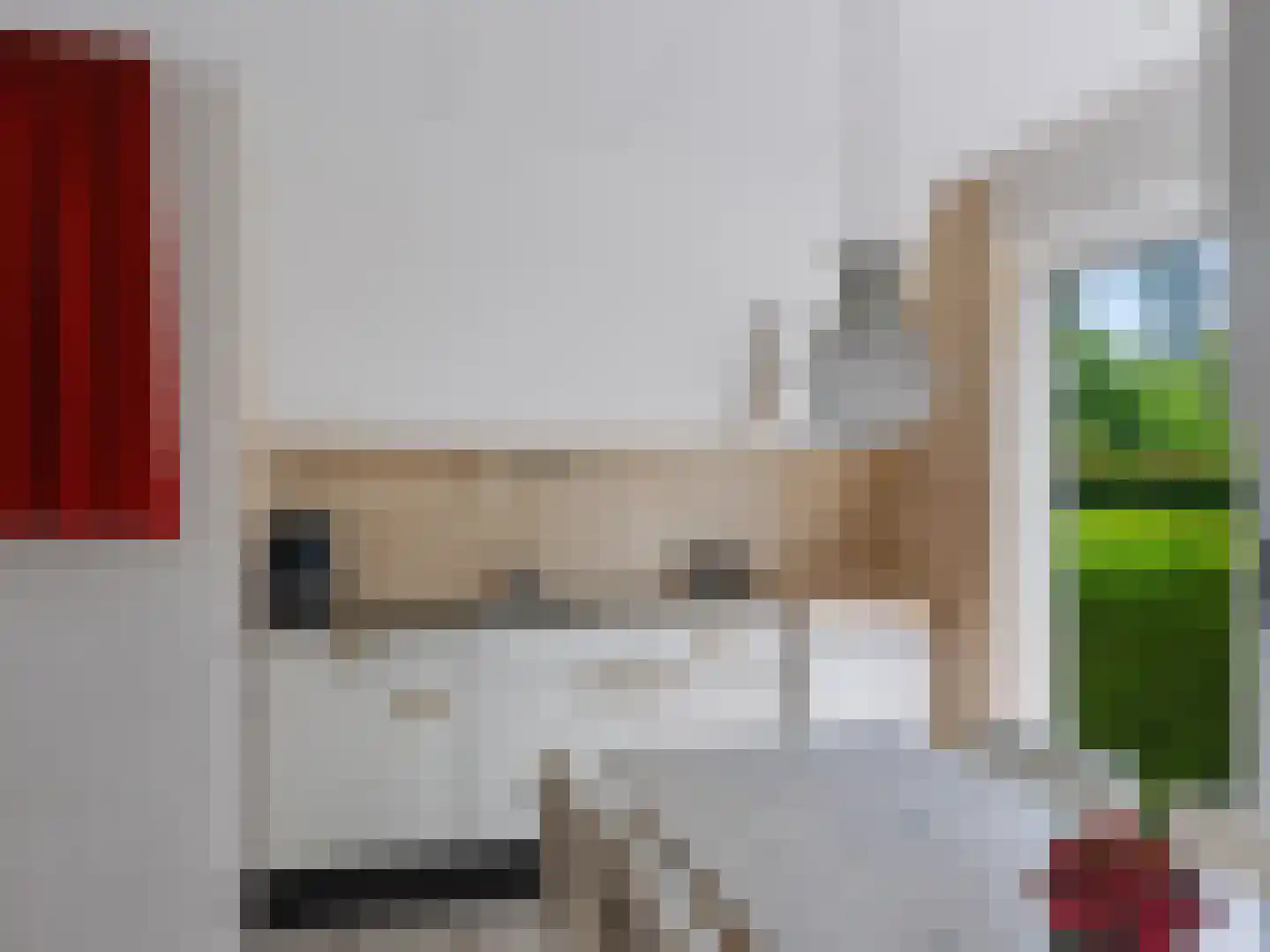 Doorntjes 44 Bergen (NH) thumbnail 25