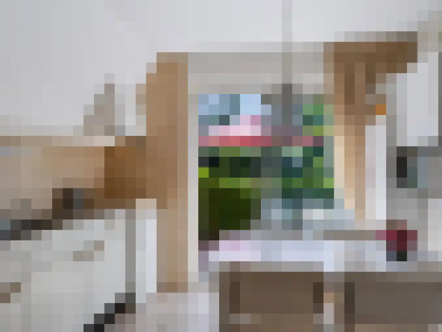 Doorntjes 44 Bergen (NH) thumbnail 27