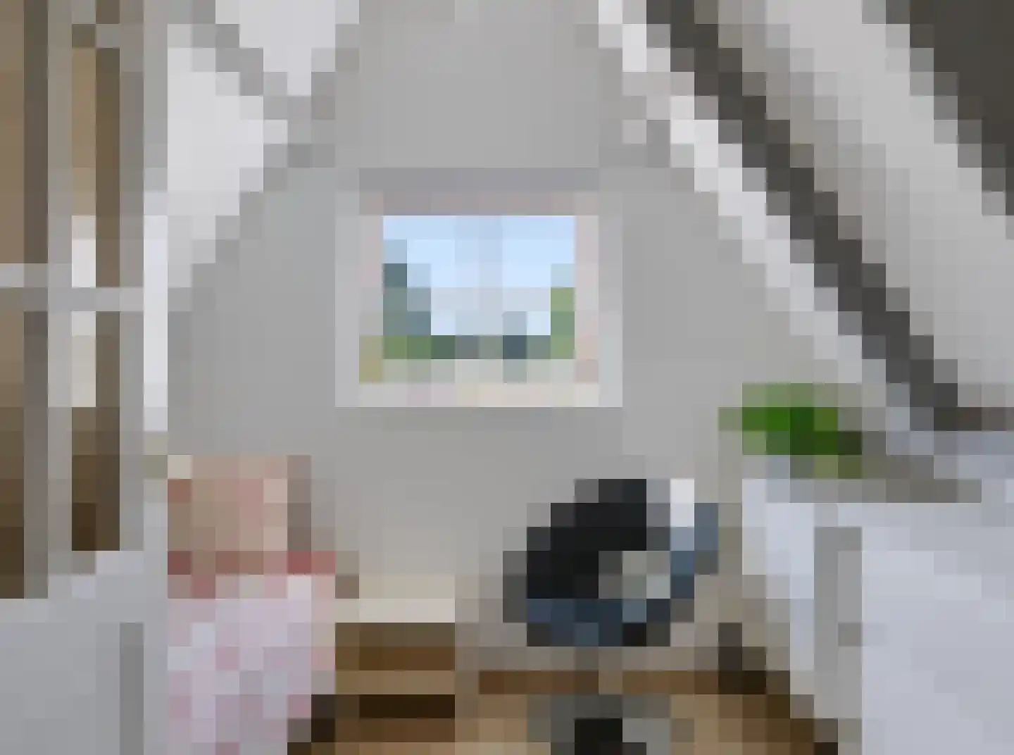 Doorntjes 44 Bergen (NH) thumbnail 31