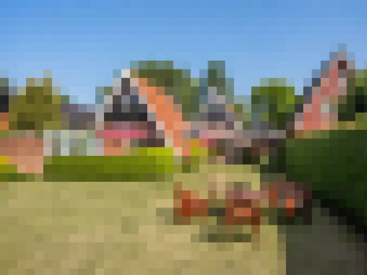Doorntjes 44 Bergen (NH) thumbnail 33