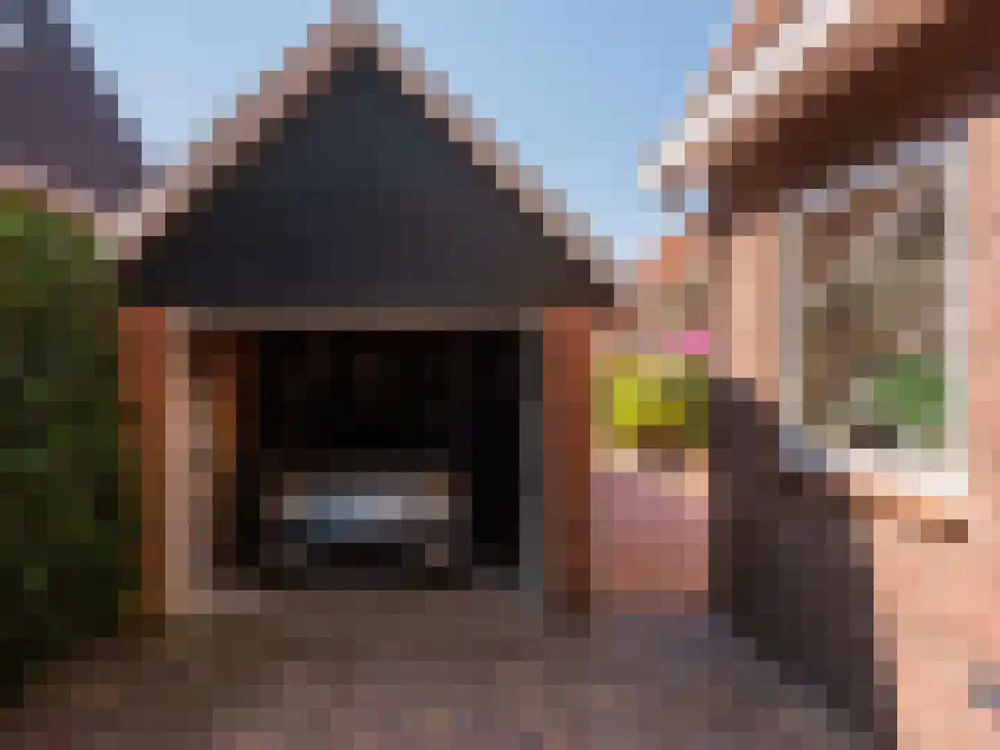 Doorntjes 44 Bergen (NH) thumbnail 37