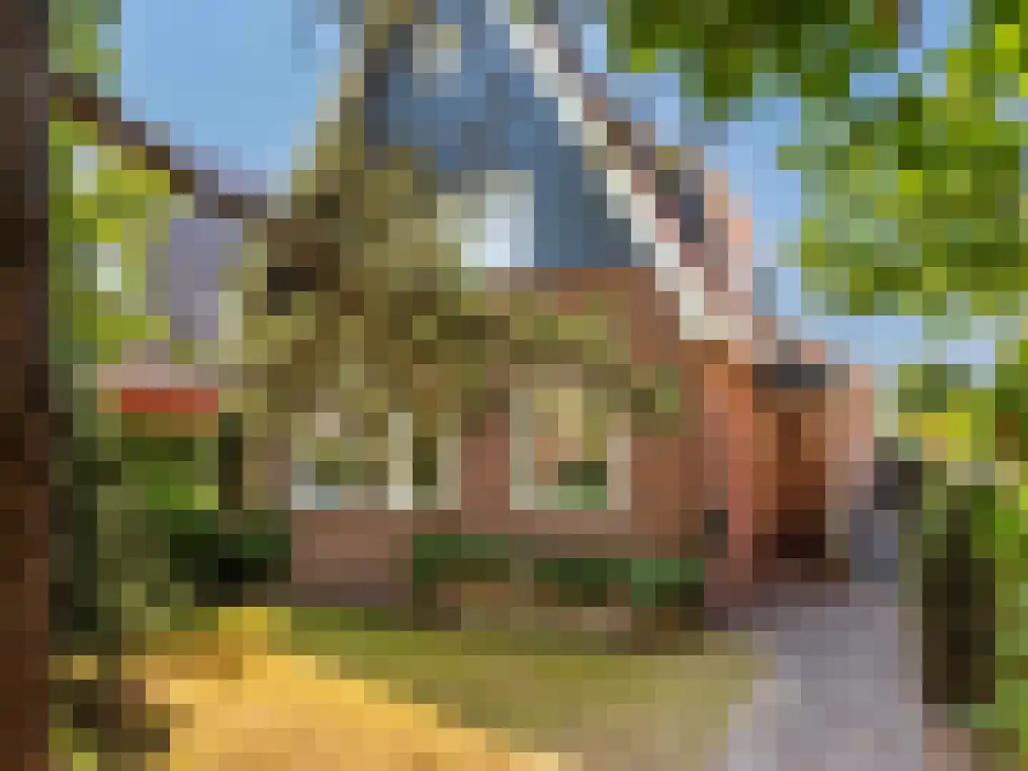 Doorntjes 44 Bergen (NH) thumbnail 42