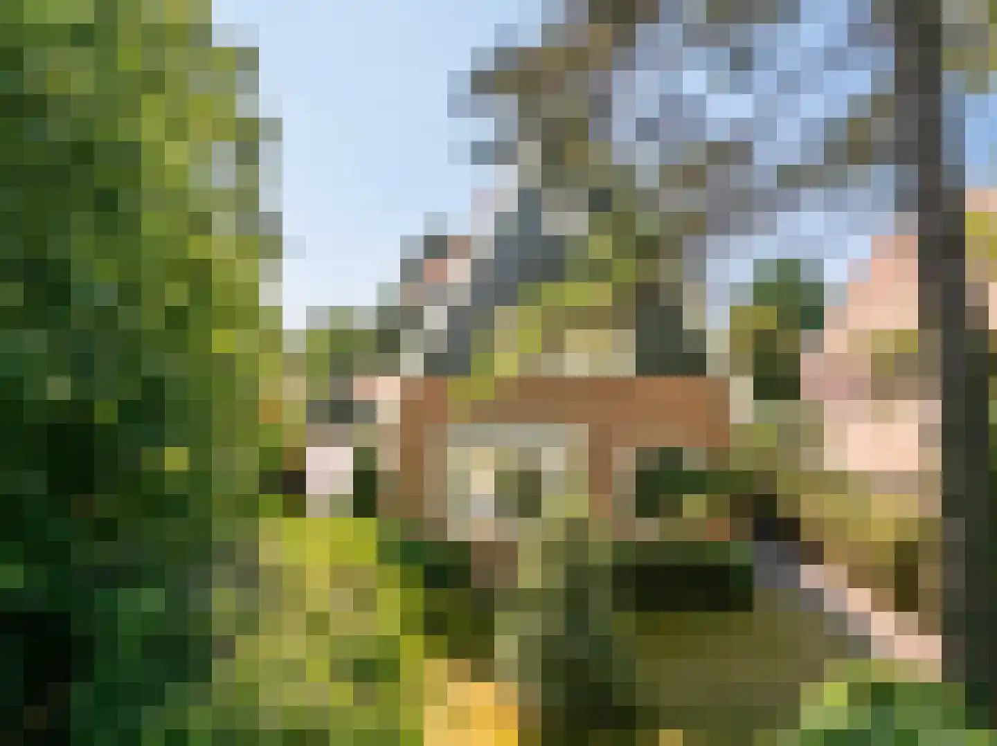 Doorntjes 44 Bergen (NH) thumbnail 43