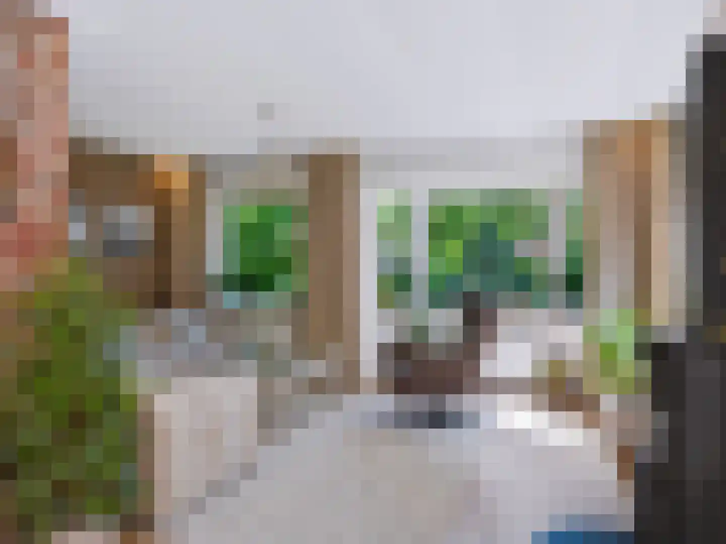 Doorntjes 44 Bergen (NH) thumbnail 5