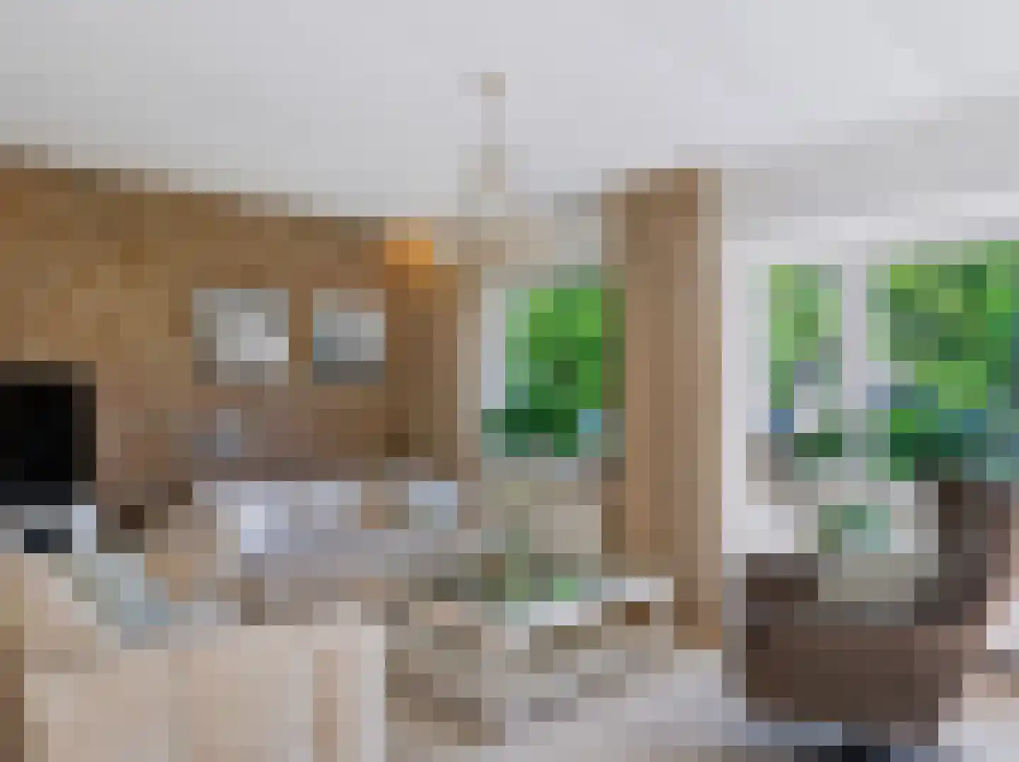 Doorntjes 44 Bergen (NH) thumbnail 6