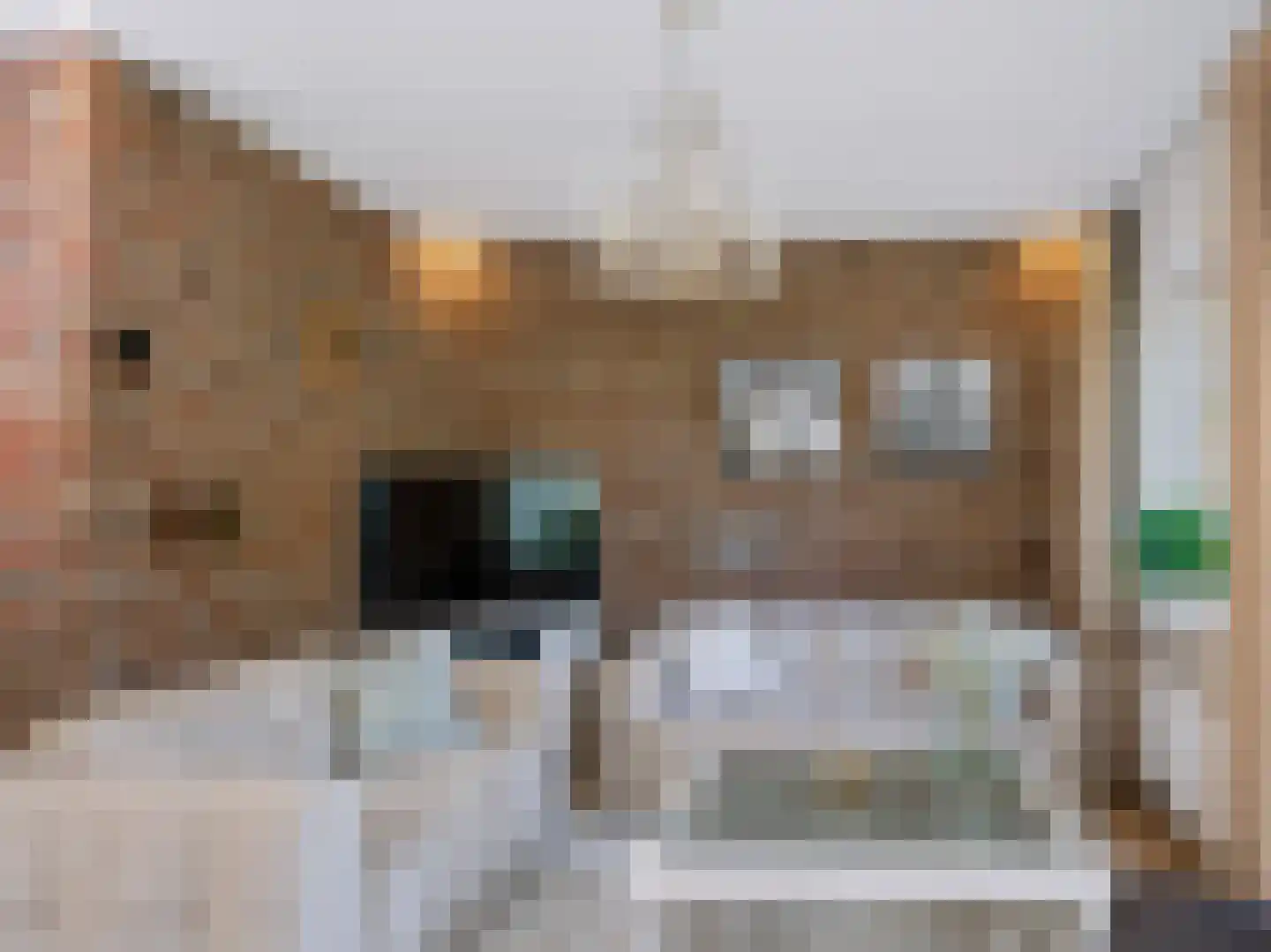 Doorntjes 44 Bergen (NH) thumbnail 7