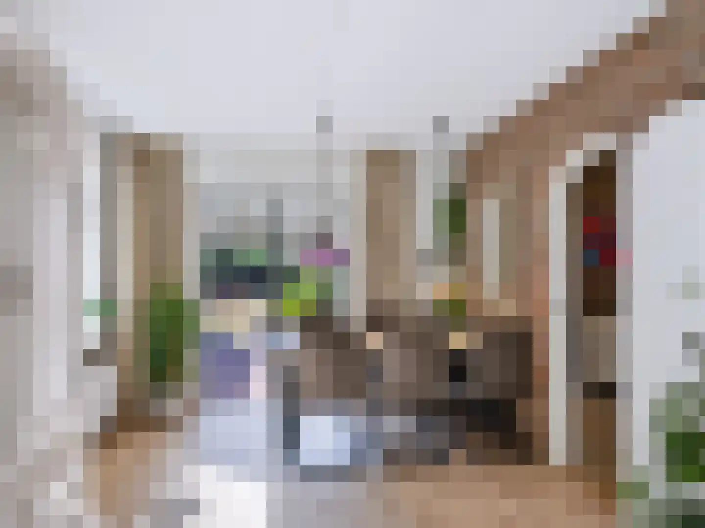 Doorntjes 44 Bergen (NH) thumbnail 8