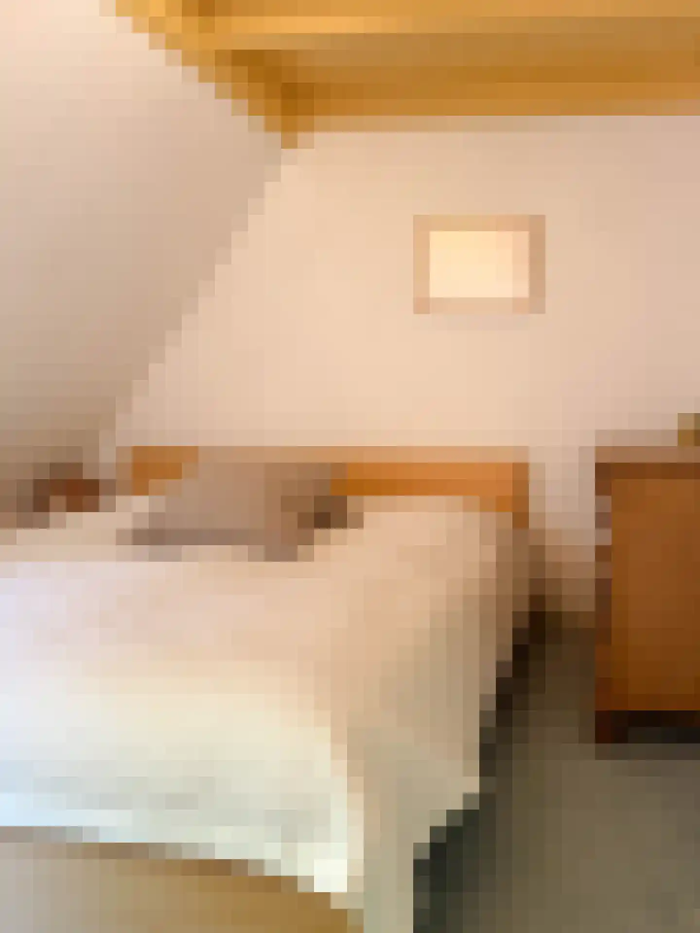 Doorntjes 8 Bergen (NH) thumbnail 20