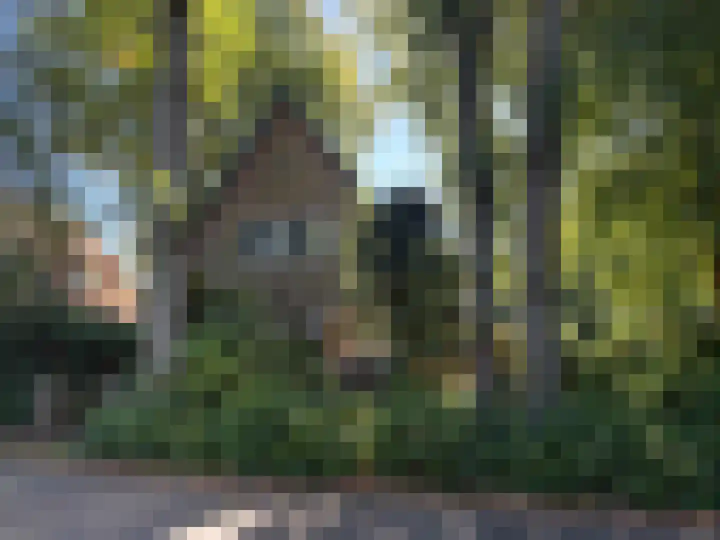 Doorntjes 8 Bergen (NH) thumbnail 29
