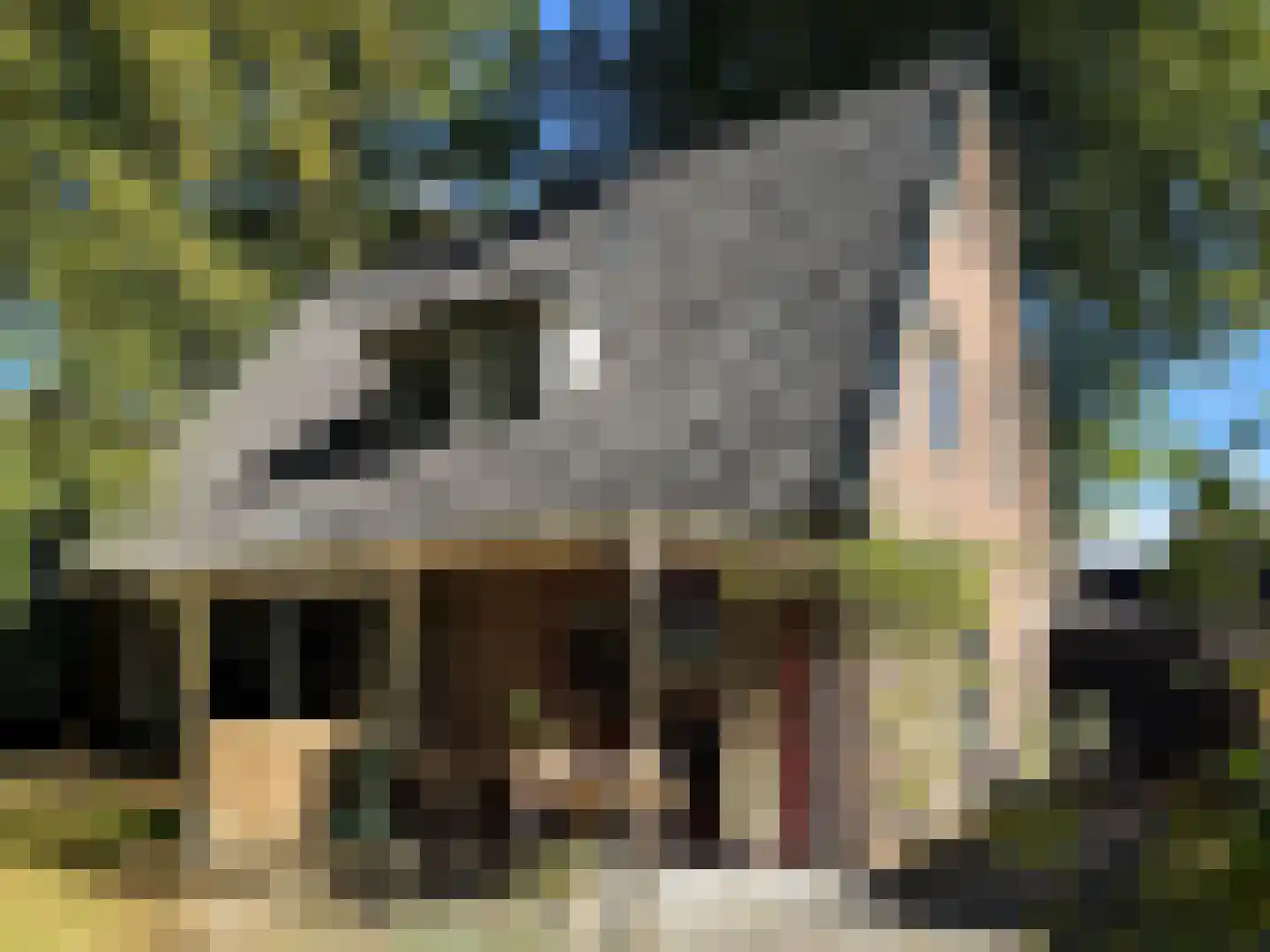 Doorntjes 8 Bergen (NH) thumbnail 32