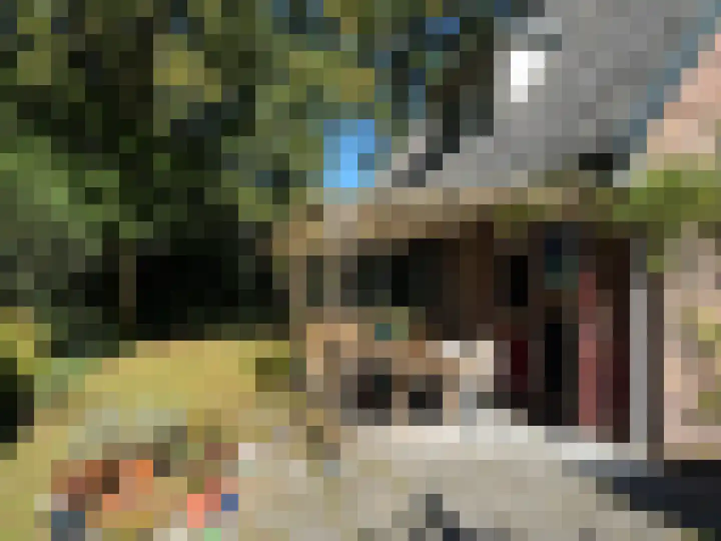 Doorntjes 8 Bergen (NH) thumbnail 33
