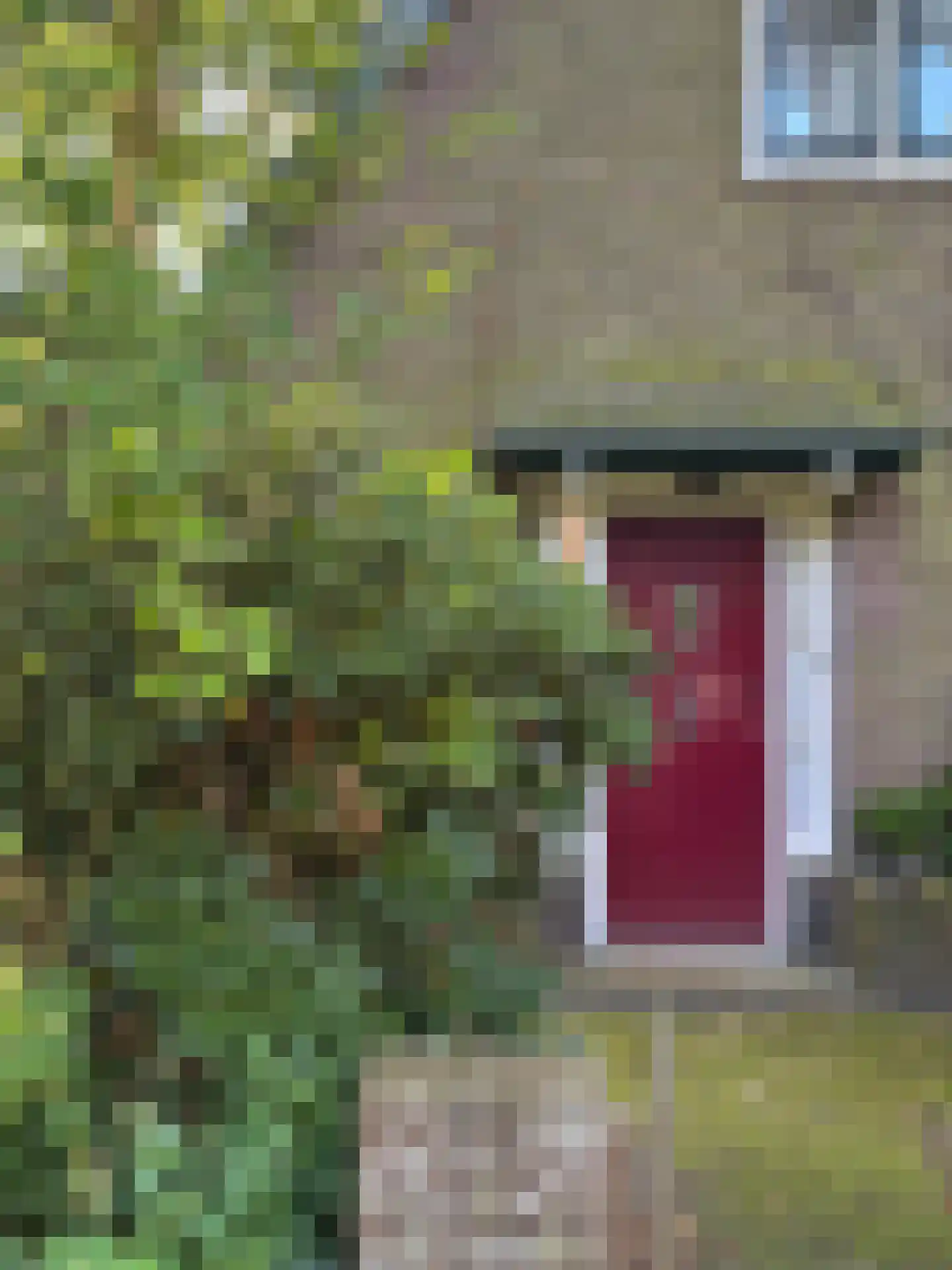 Doorntjes 8 Bergen (NH) thumbnail 5