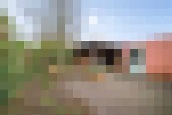 Doornweerd 14 Deventer thumbnail 40