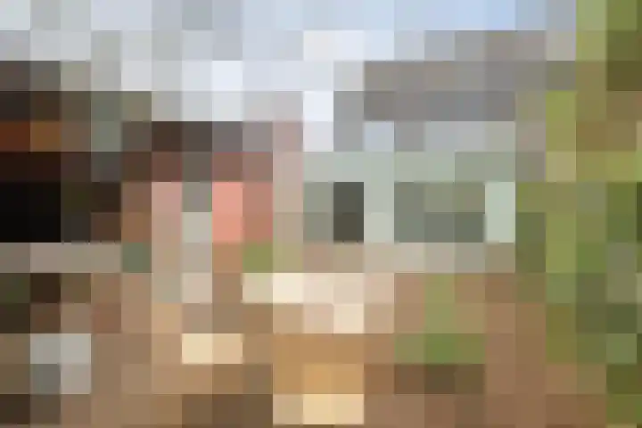 Doornweerd 14 Deventer thumbnail 41
