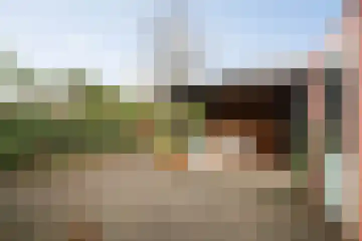 Doornweerd 14 Deventer thumbnail 44