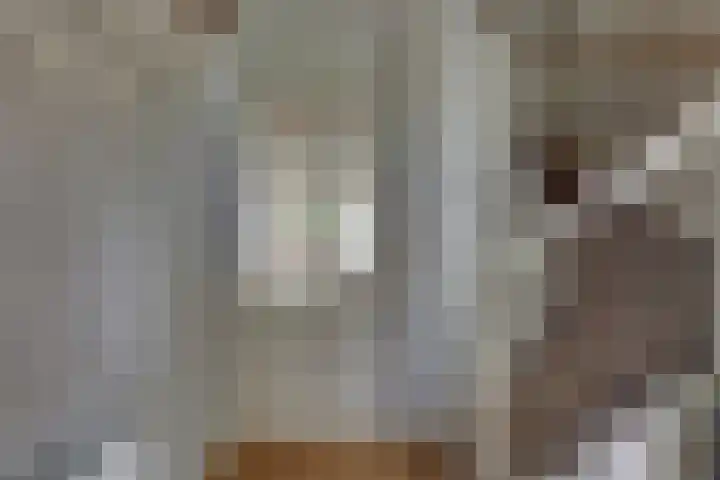 Doornweerd 26 Deventer thumbnail 11