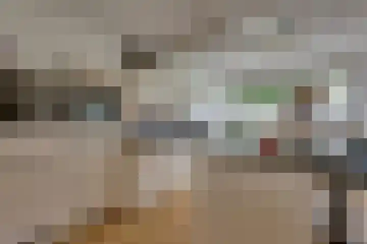 Doornweerd 26 Deventer thumbnail 18