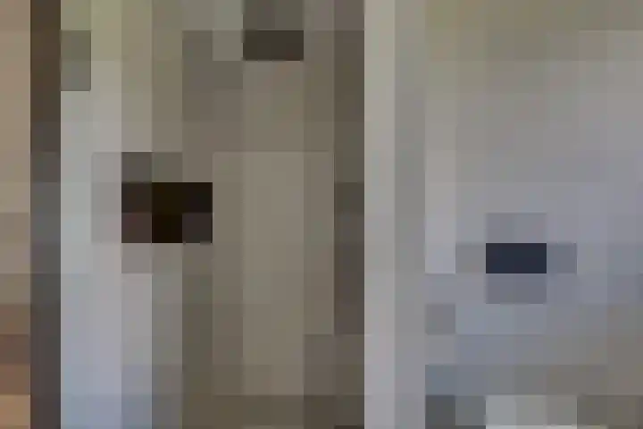 Doornweerd 26 Deventer thumbnail 41