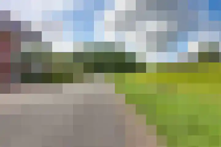 Doornweerd 26 Deventer thumbnail 53