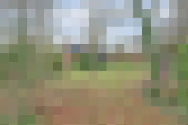 Doornweg 1 a Rockanje thumbnail 37