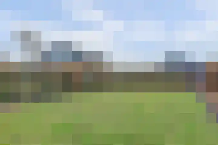 Doornweg 1 a Rockanje thumbnail 38