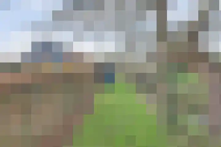 Doornweg 1 a Rockanje thumbnail 39