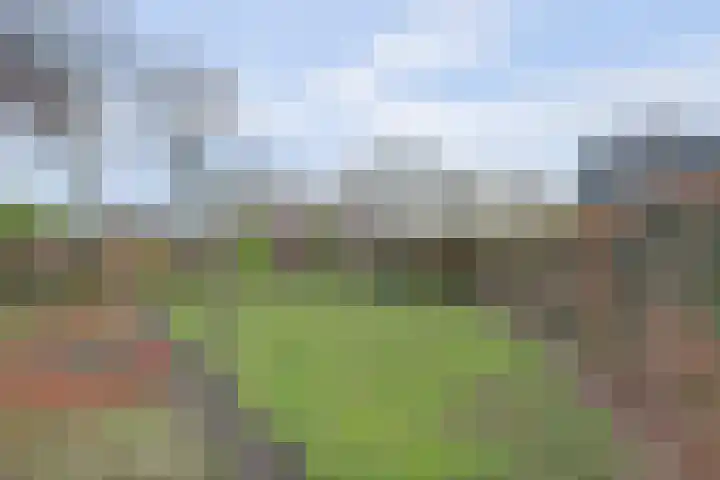 Doornweg 1 a Rockanje thumbnail 40