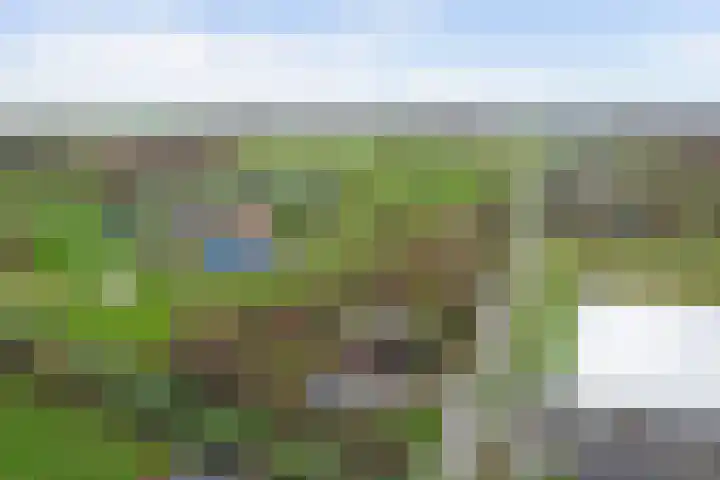 Doornweg 1 a Rockanje thumbnail 46