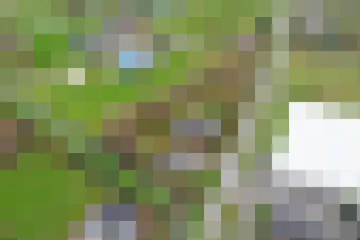 Doornweg 1 a Rockanje thumbnail 47