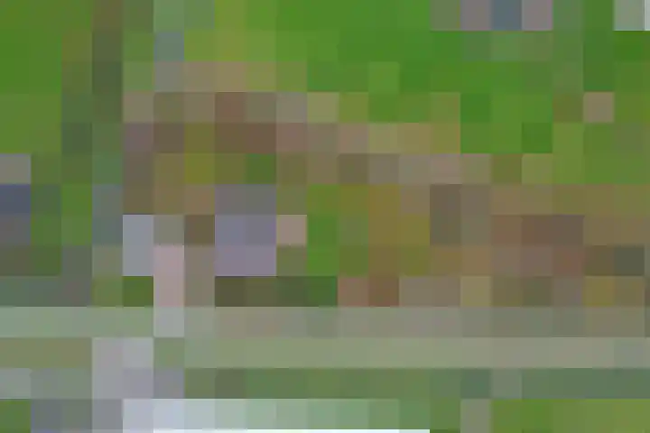 Doornweg 1 a Rockanje thumbnail 49