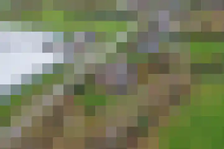Doornweg 1 a Rockanje thumbnail 50