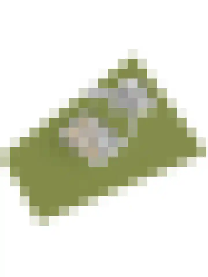 Doornweg 1 a Rockanje thumbnail 54