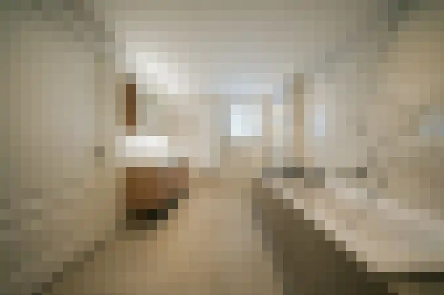Doornweg 2 Helmond thumbnail 21