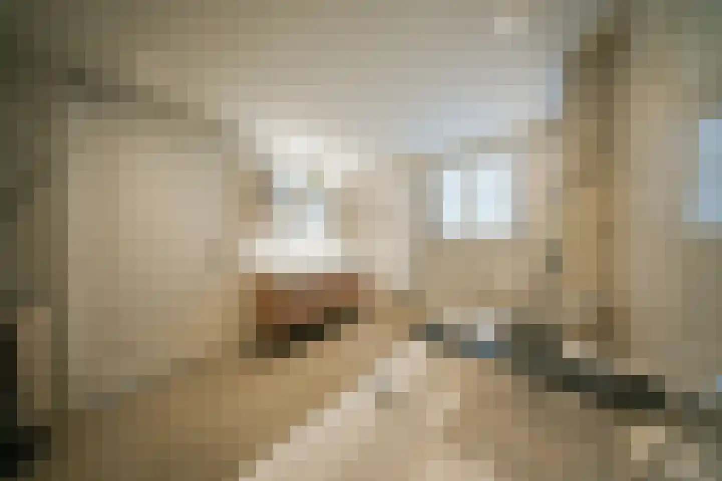 Doornweg 2 Helmond thumbnail 23