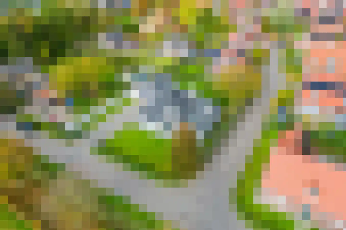 Doornweg 2 Helmond thumbnail 8