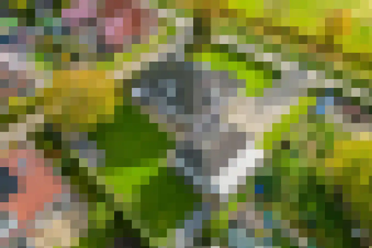 Doornweg 2 Helmond thumbnail 9