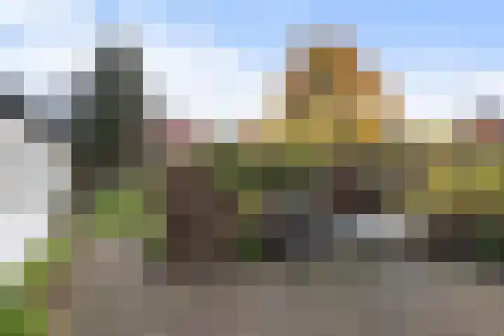 Doornweg 3 Apeldoorn thumbnail 28