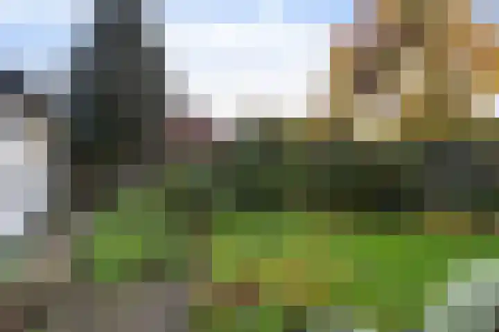Doornweg 3 Apeldoorn thumbnail 29