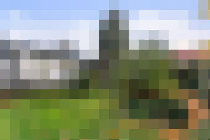 Doornweg 3 Apeldoorn thumbnail 30