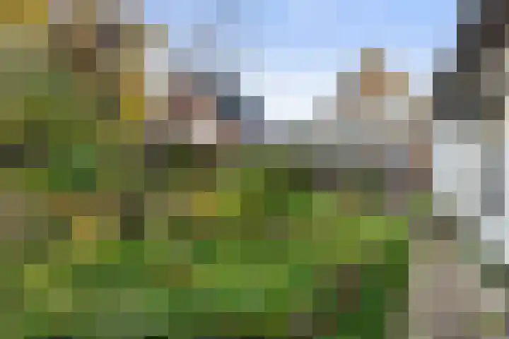 Doornweg 3 Apeldoorn thumbnail 31