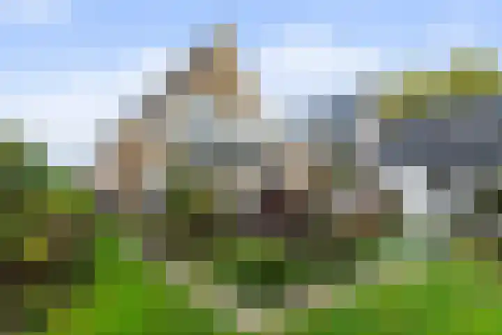 Doornweg 3 Apeldoorn thumbnail 32