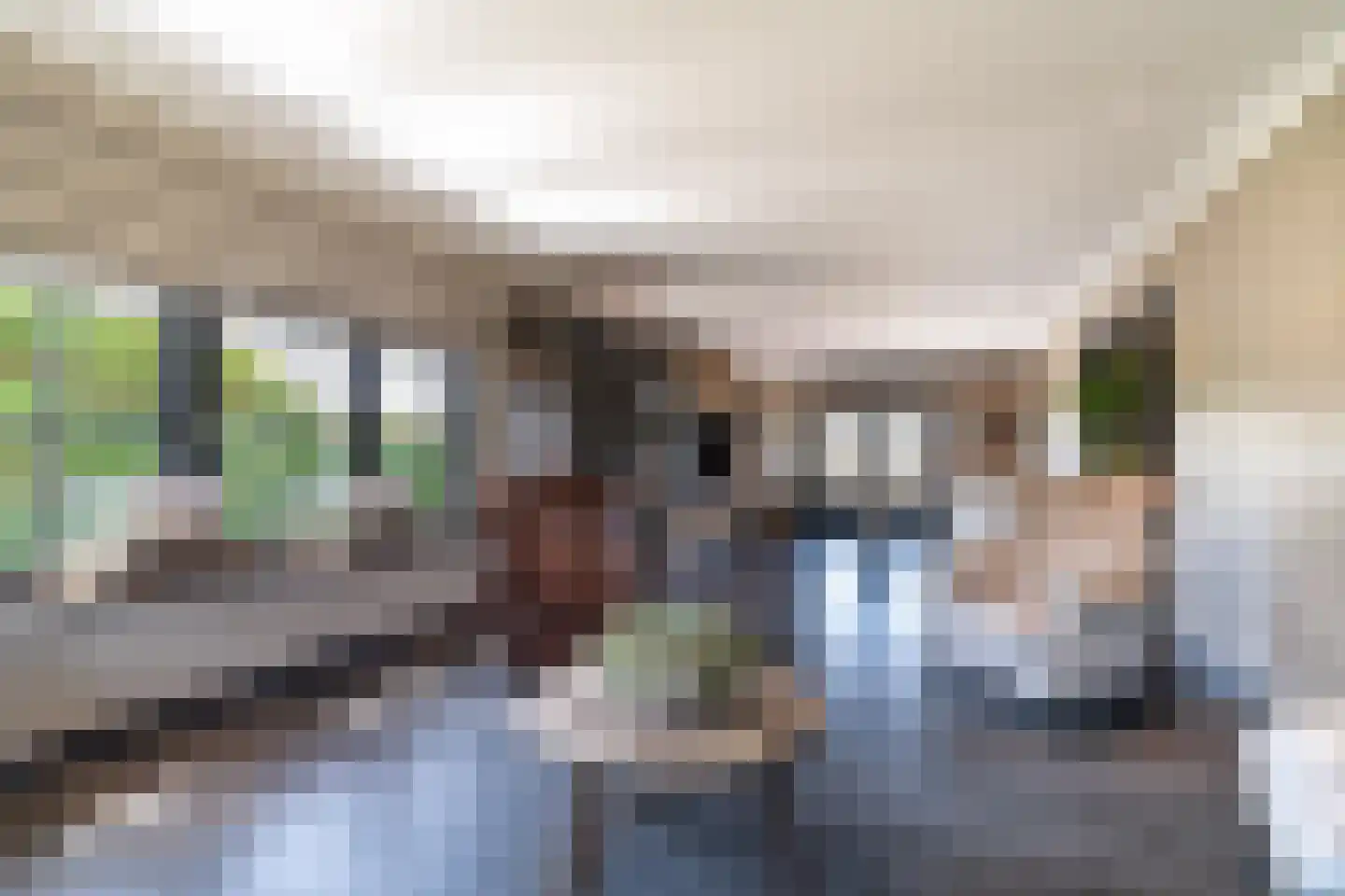 Doornweg 6 b Rockanje thumbnail 15